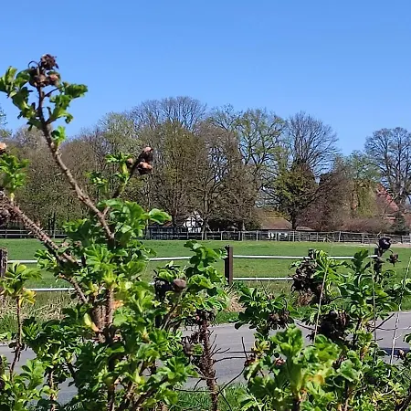Wohnmobilstellplatz Im Tierpark * Wagenfeld